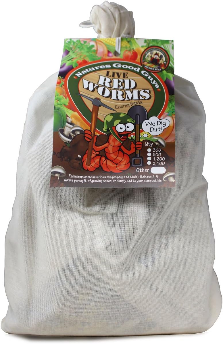 600 Red Wigglers Composting Red Worms R21647