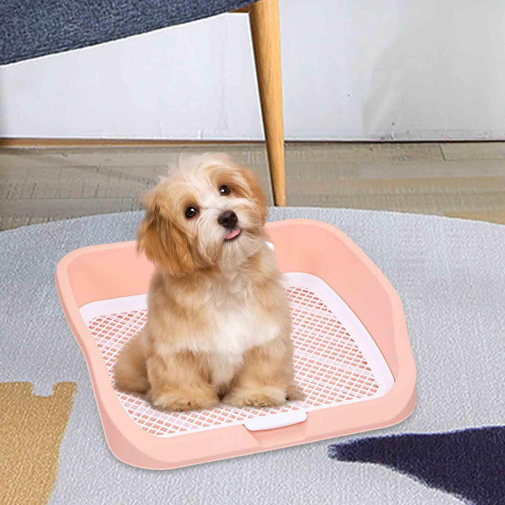 Pet Toilet Training Holder with Protection Dog Potty Pad S7506