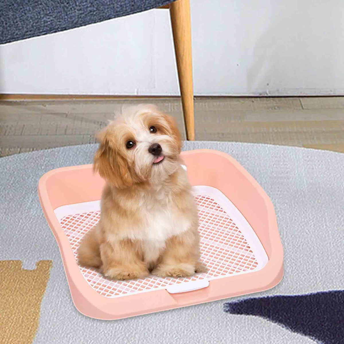 Pet Toilet Training Holder with Protection Dog Potty Pad S7506