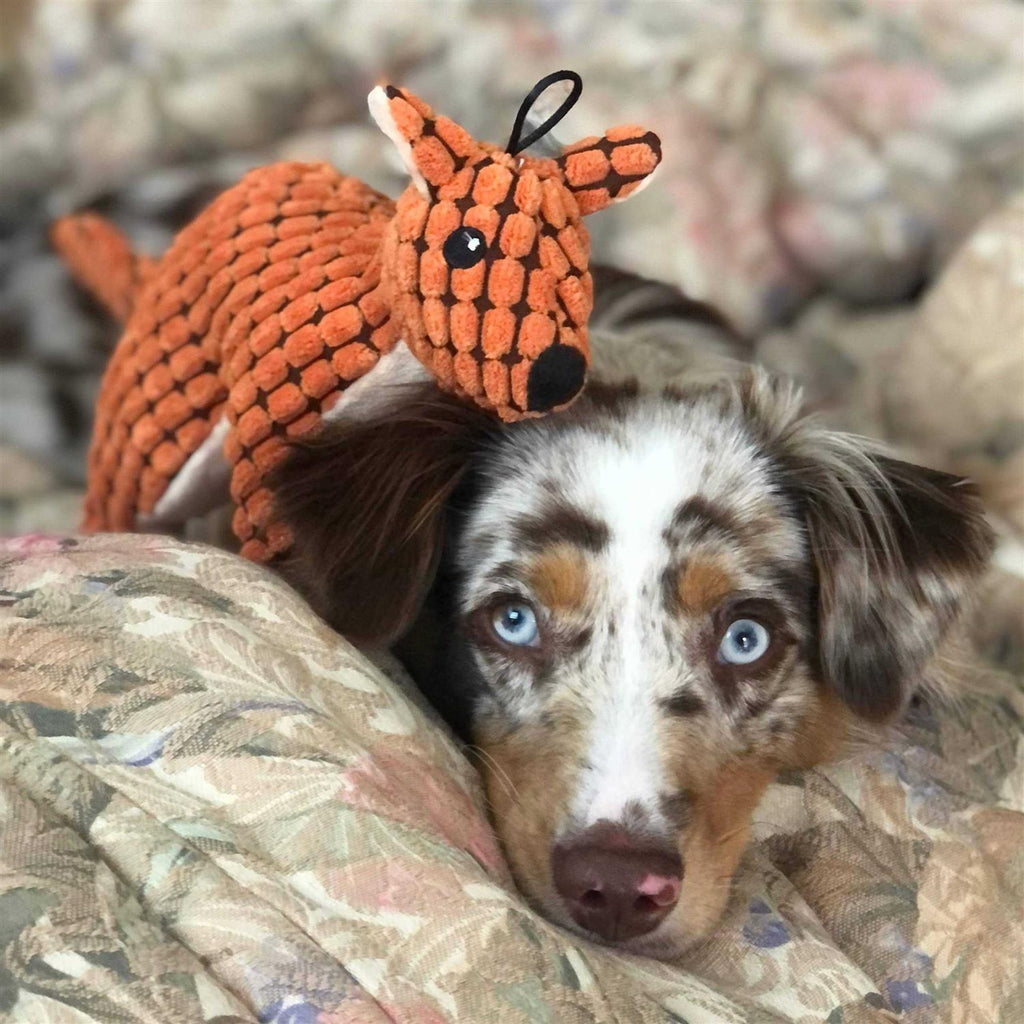Stuffed Plush Squeaky Dog Toy M143765