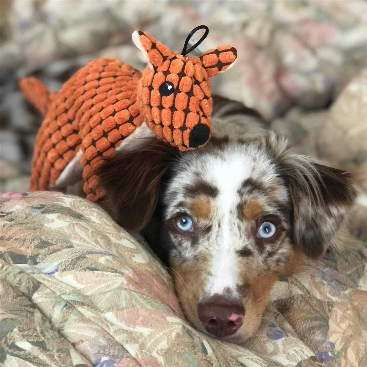 Stuffed Plush Squeaky Dog Toy M143765