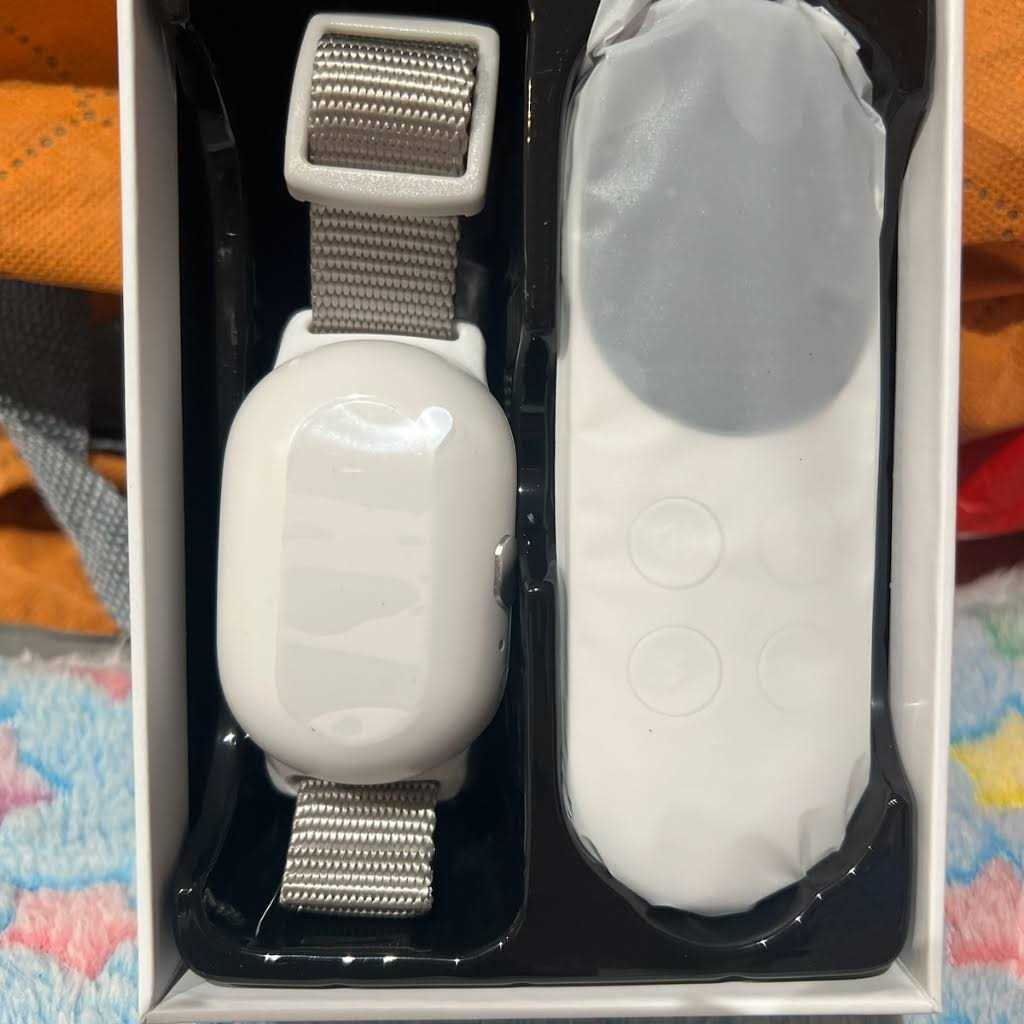Waterproof Remote Dog Training Collar B689371