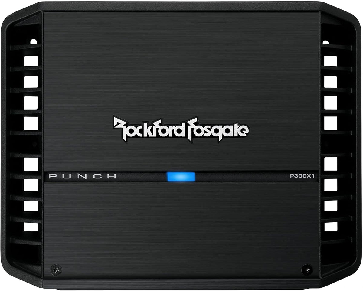 12" Subwoofer and Mono Amplifier S801403