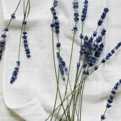 White Lavender Large Candle O797
