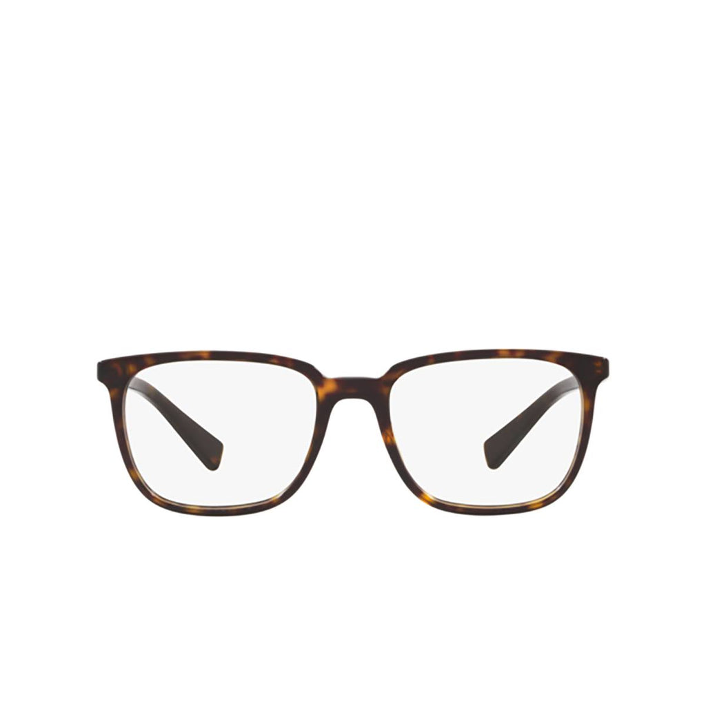 Havana Eyeglasses Y713