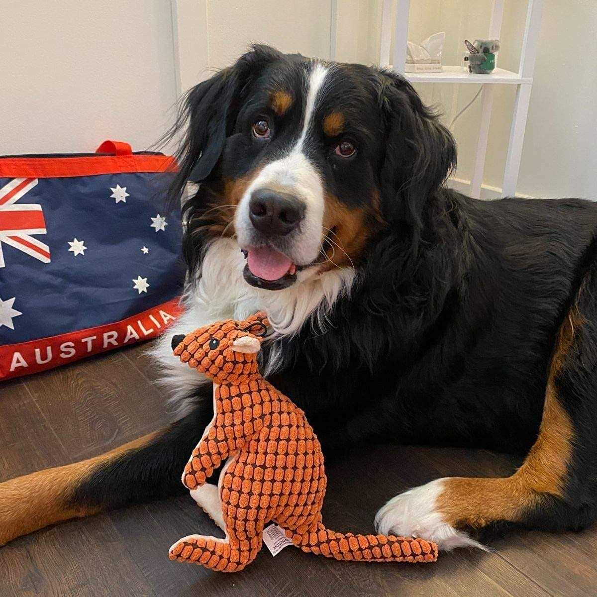 Stuffed Plush Squeaky Dog Toy M143765