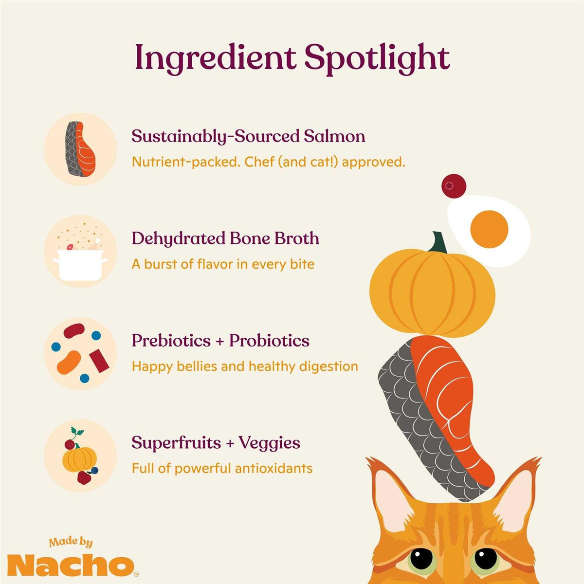 Salmon & Pumpkin Recipe Dry Cat Food J178702