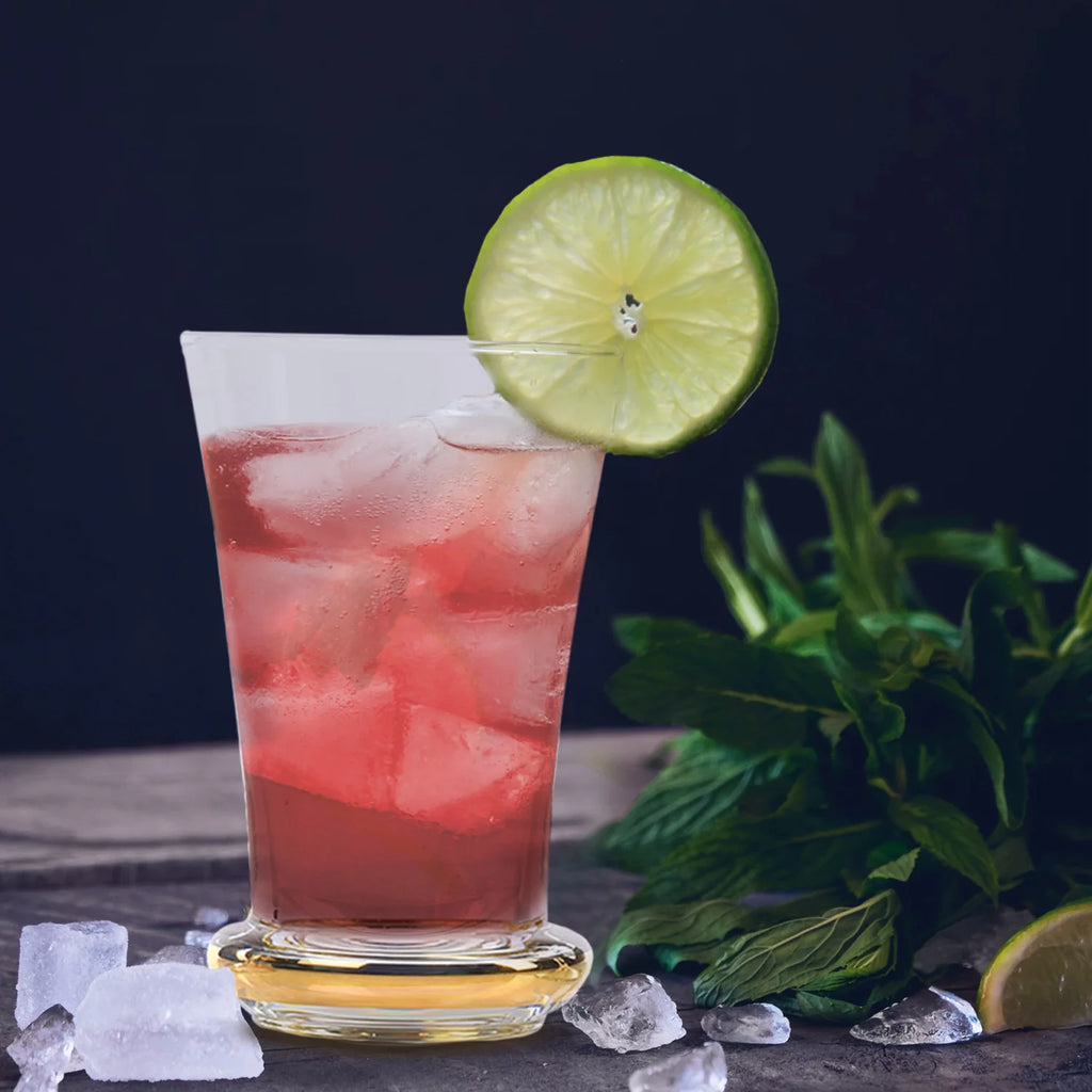 Highball Drinking Glasses Set of 6 P8262