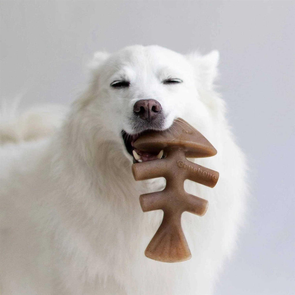 Fishbone Dog Chew J41252