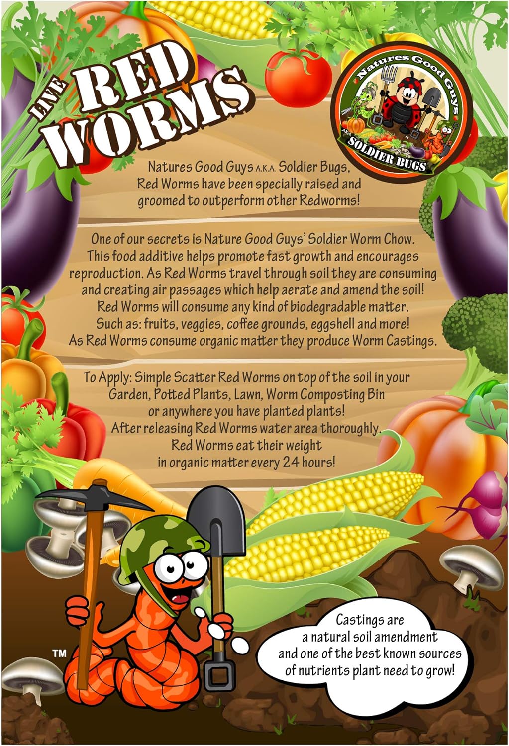 600 Red Wigglers Composting Red Worms R21647