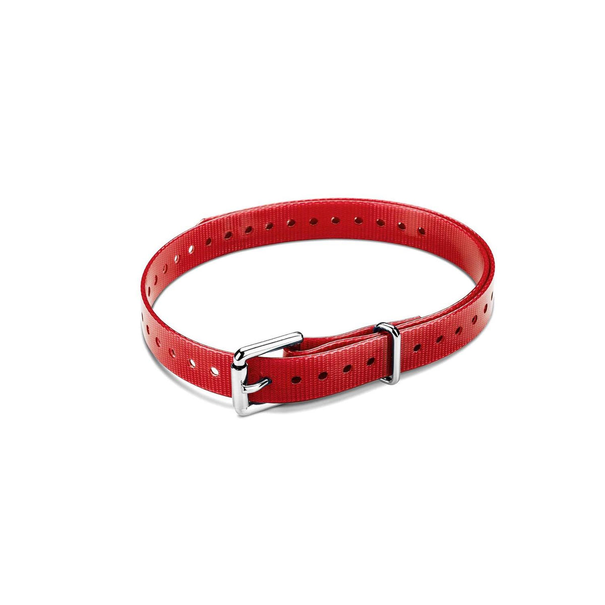 Collar Strap G533128