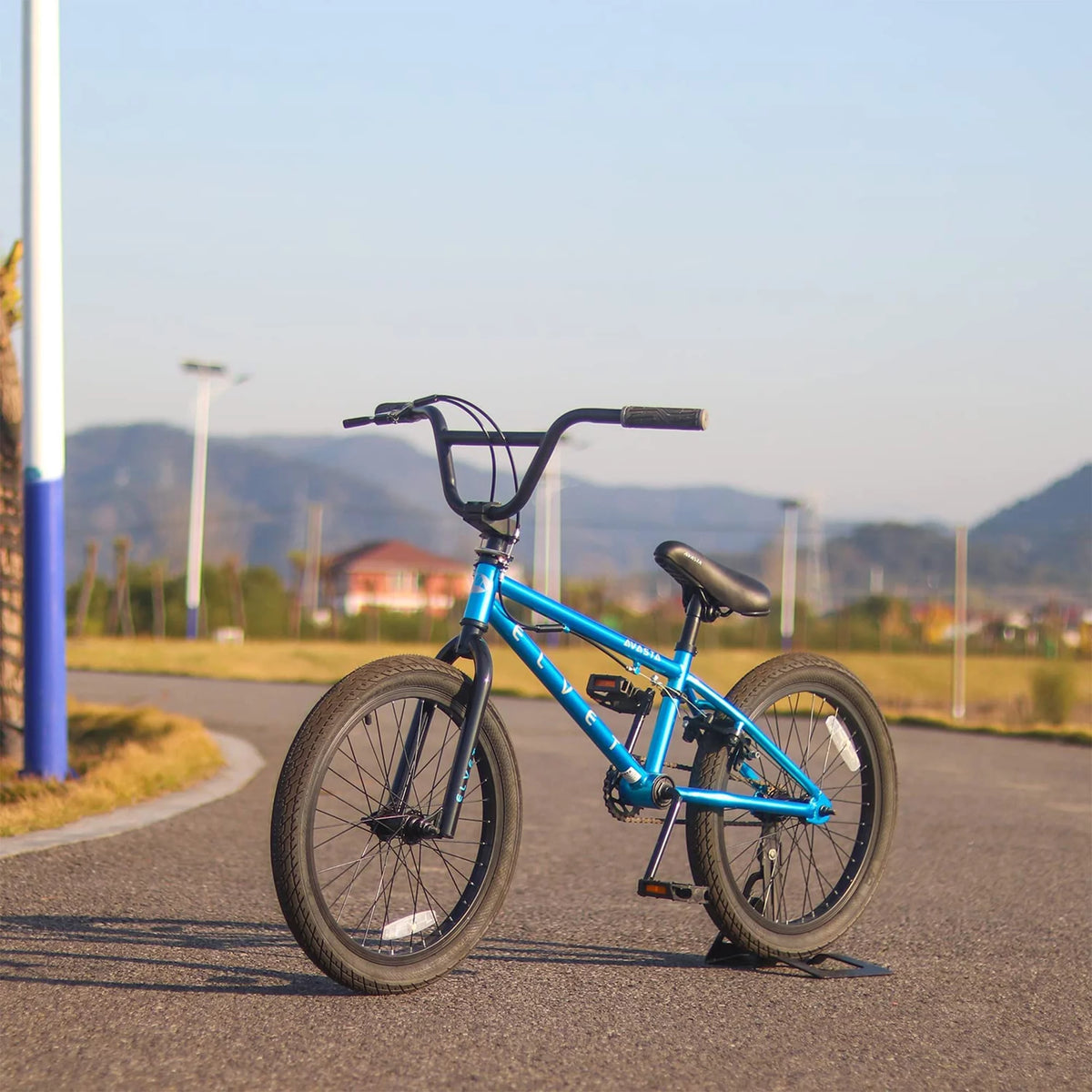20 Inch Blue Kid BMX Bicycle L82308