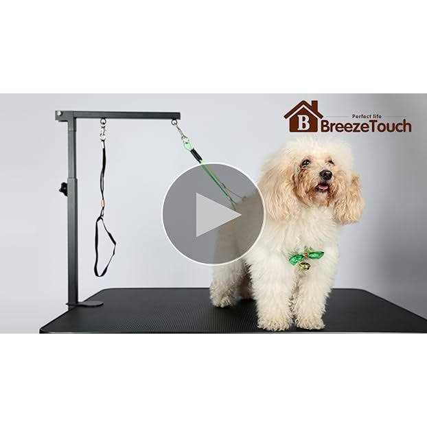 Dog Grooming Table Arm with Clamp and Post J871824