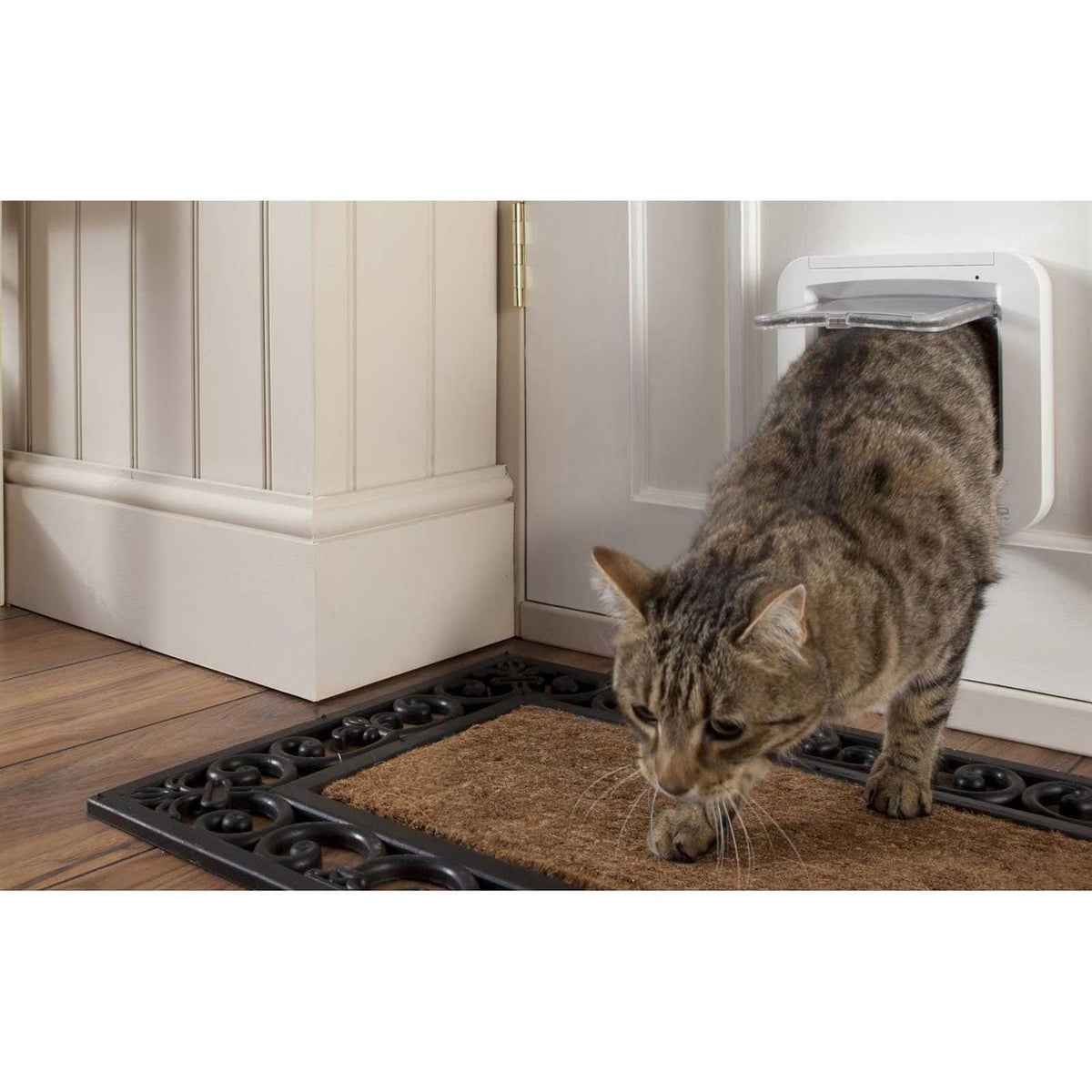Microchip Pet Door I121927