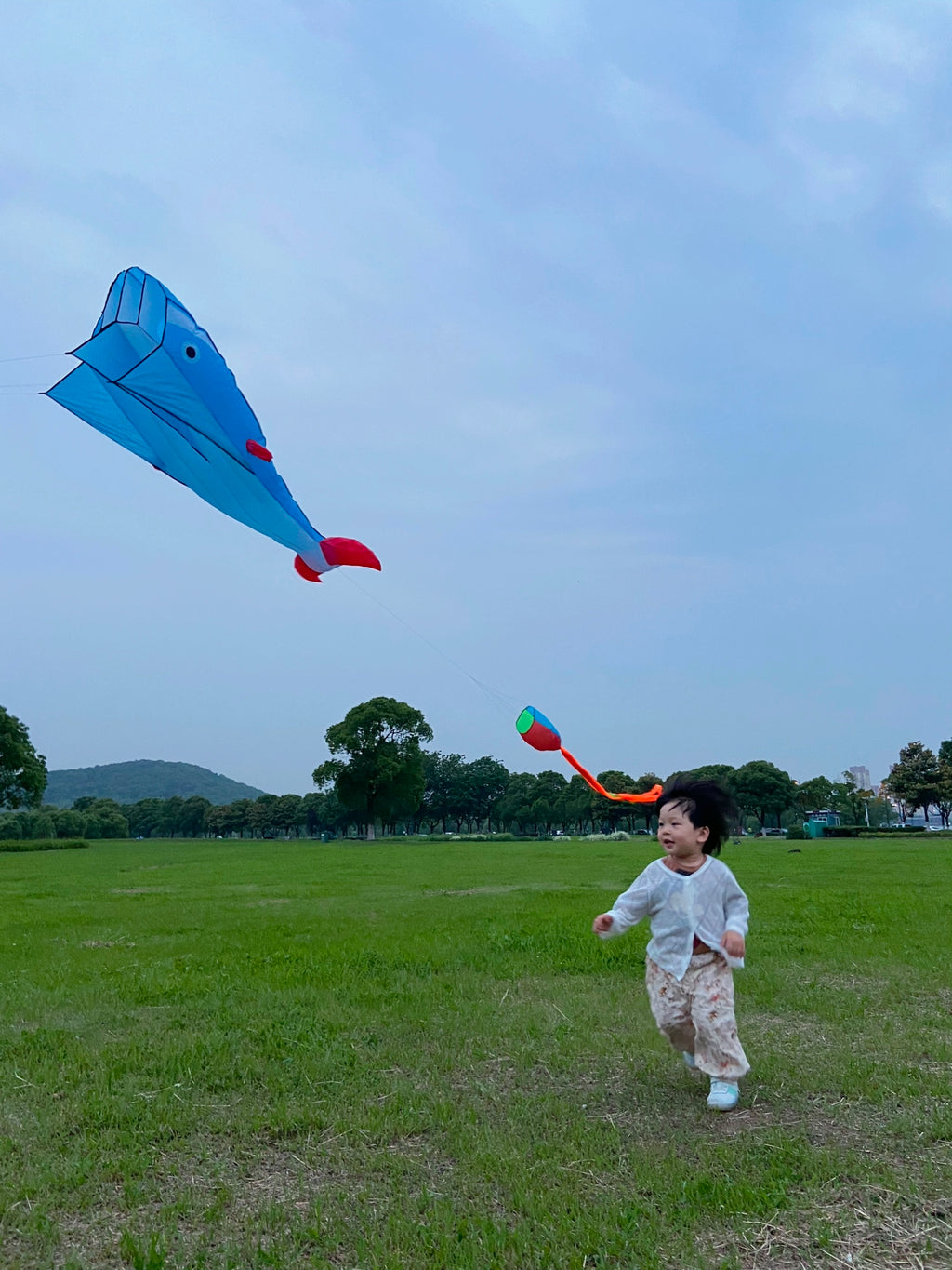 Blue Polyester 78inch Whale Dolphin Kite F8533