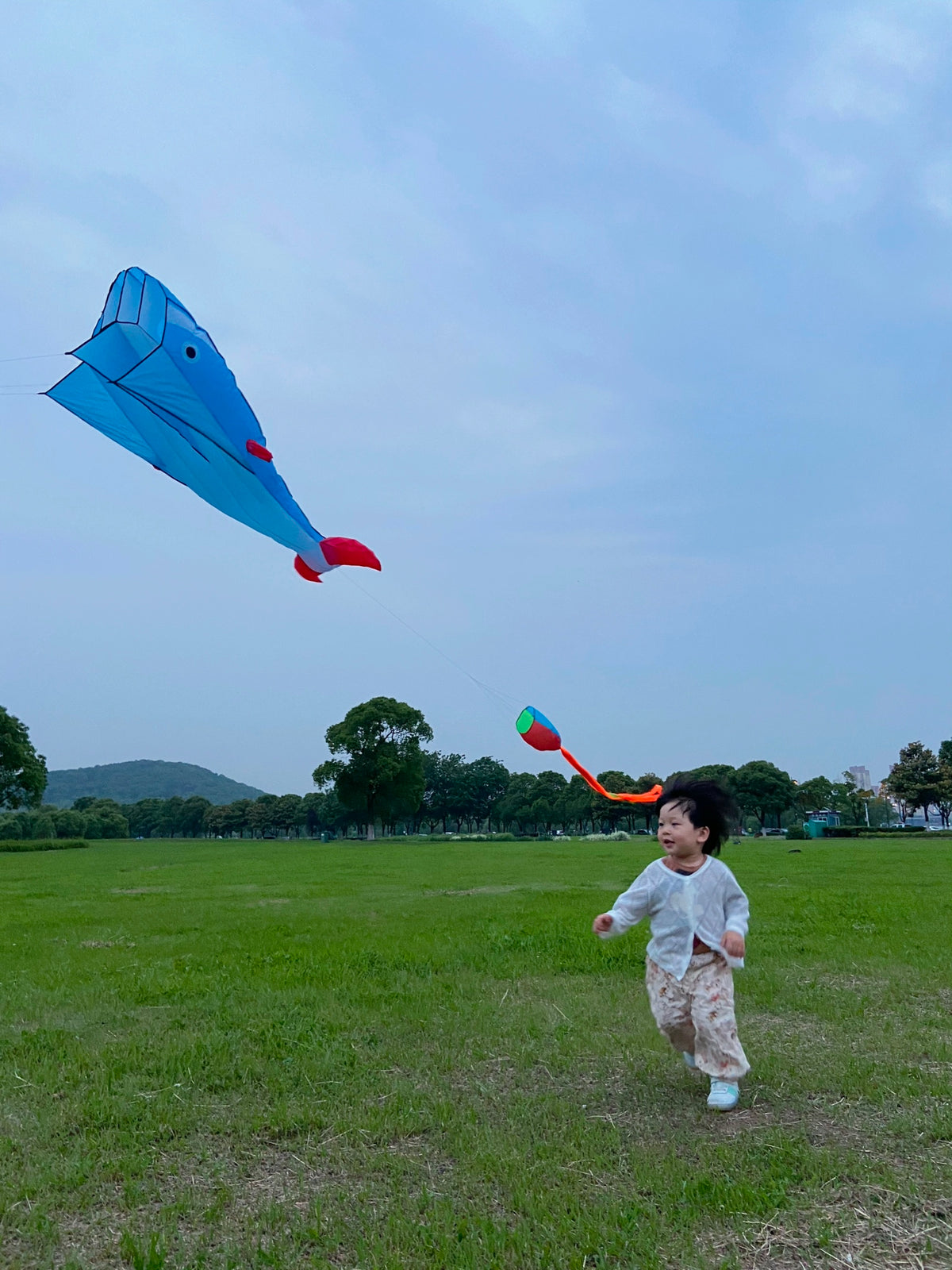Blue Polyester 78inch Whale Dolphin Kite F8533