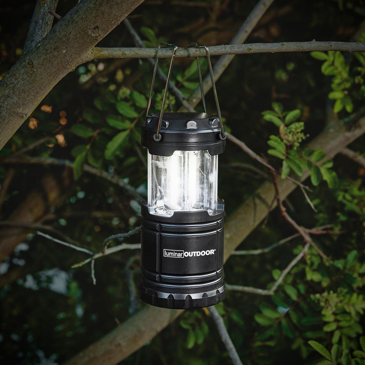250 Lumen Pop-Up Lantern F904