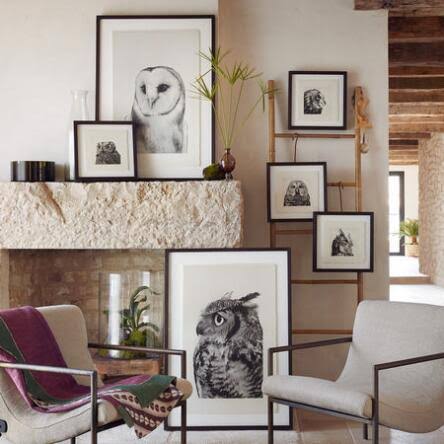 Owl Prints M576