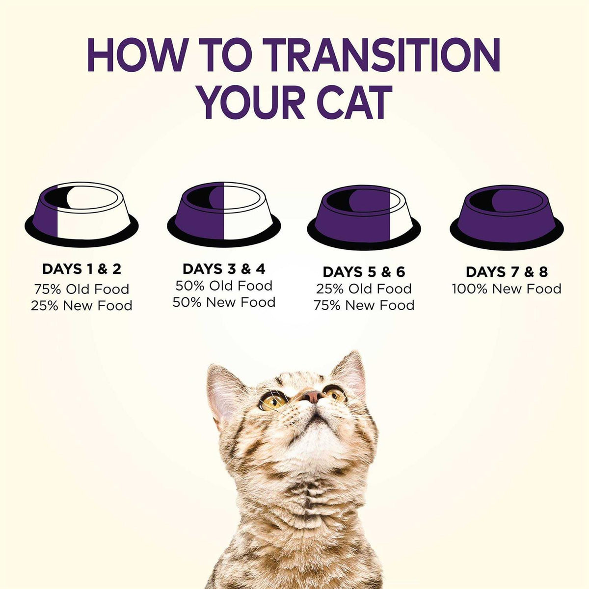 Grain Free Senior Dry Cat Food K773