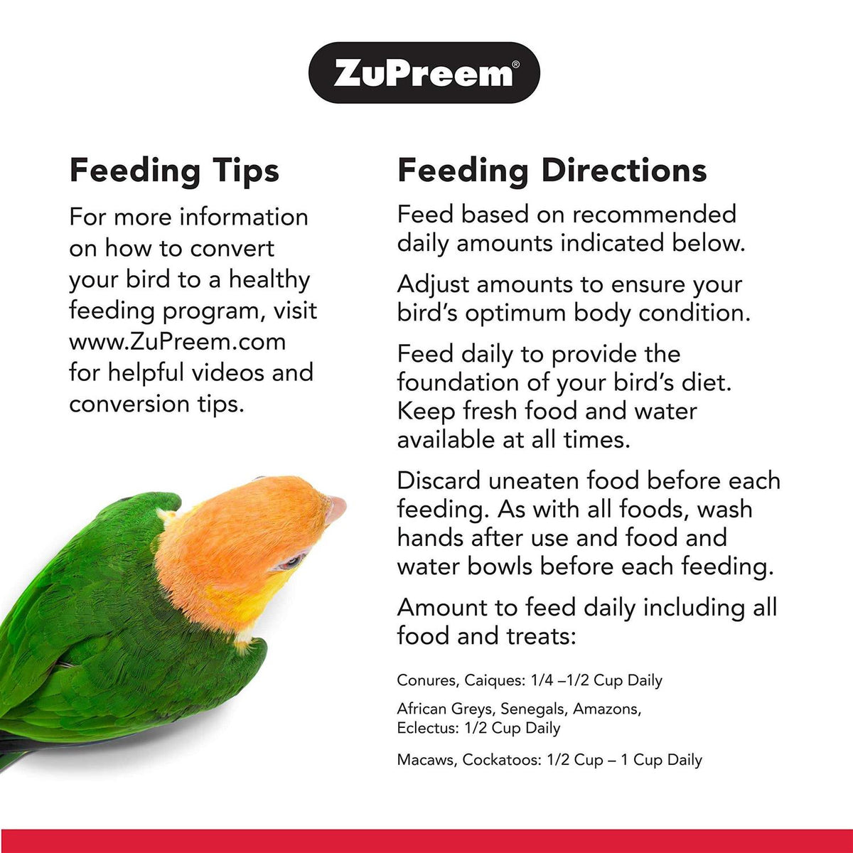 Bird Food Y22088
