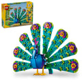 Peacock Toy 3 in 1 E458134