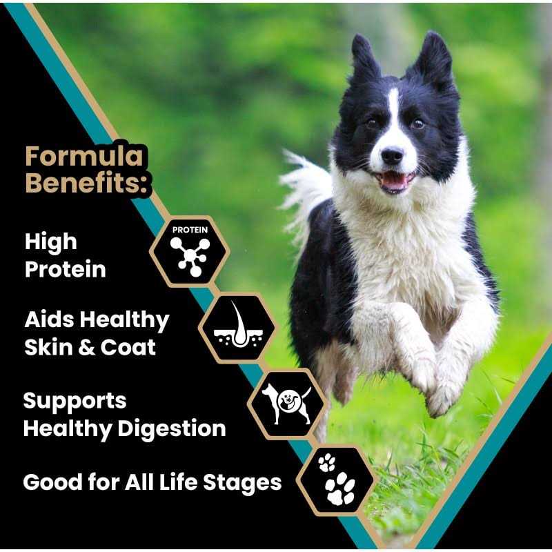 Dry Dog Food I505069