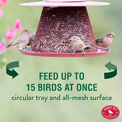 Red Cardinal Bird Feeder - 2.5 Feed Capacity G53584