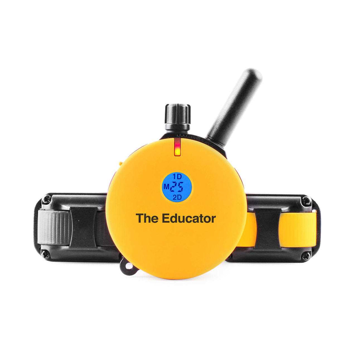 Remote Dog Training Collar B84986