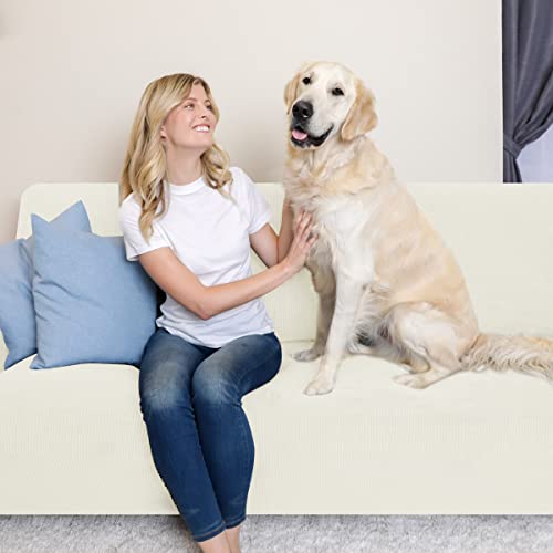 Ivory Stretch Couch Cover Set 1 Piece Sofa Slipcover with Cushion Cover for 2 Cushion Loveseat U35431