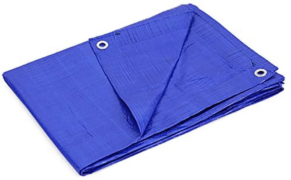 Blue 12-ft x 20-ft Poly Tarp I536434