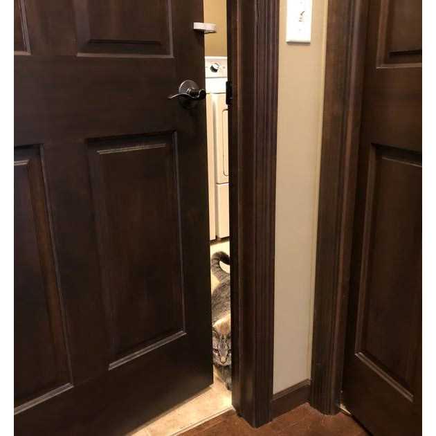 Door Paw-tector for Dogs N8829