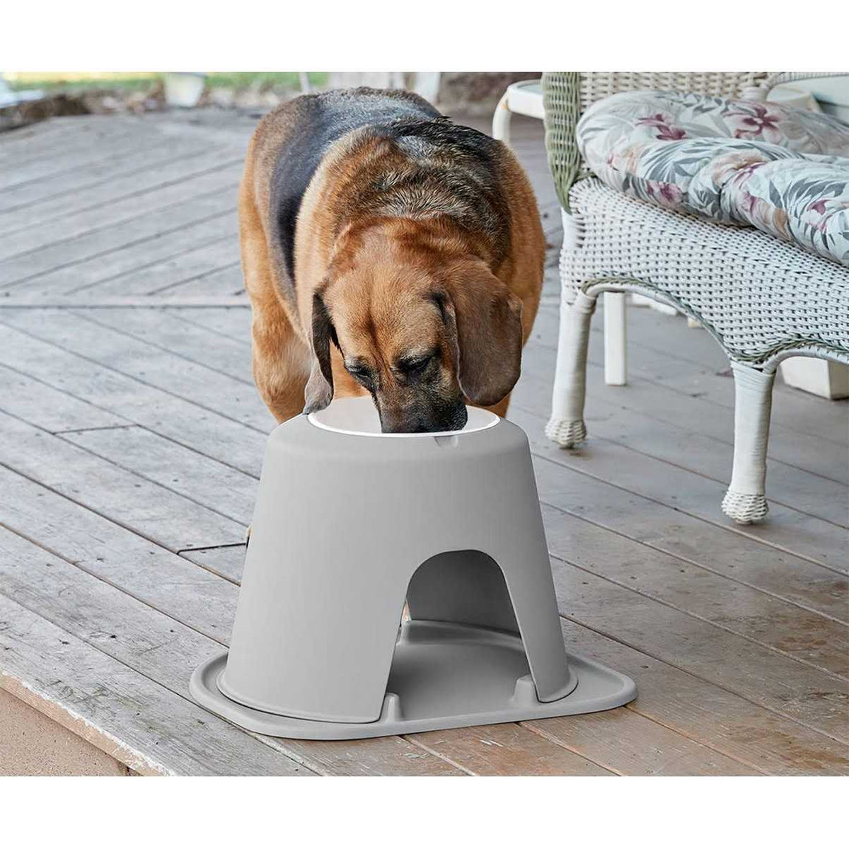 Double High Pet Feeding System Z14211