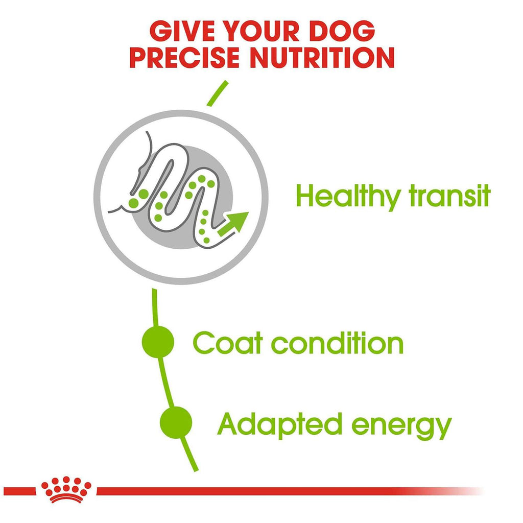 X-Small Adult Dry Dog Food F989