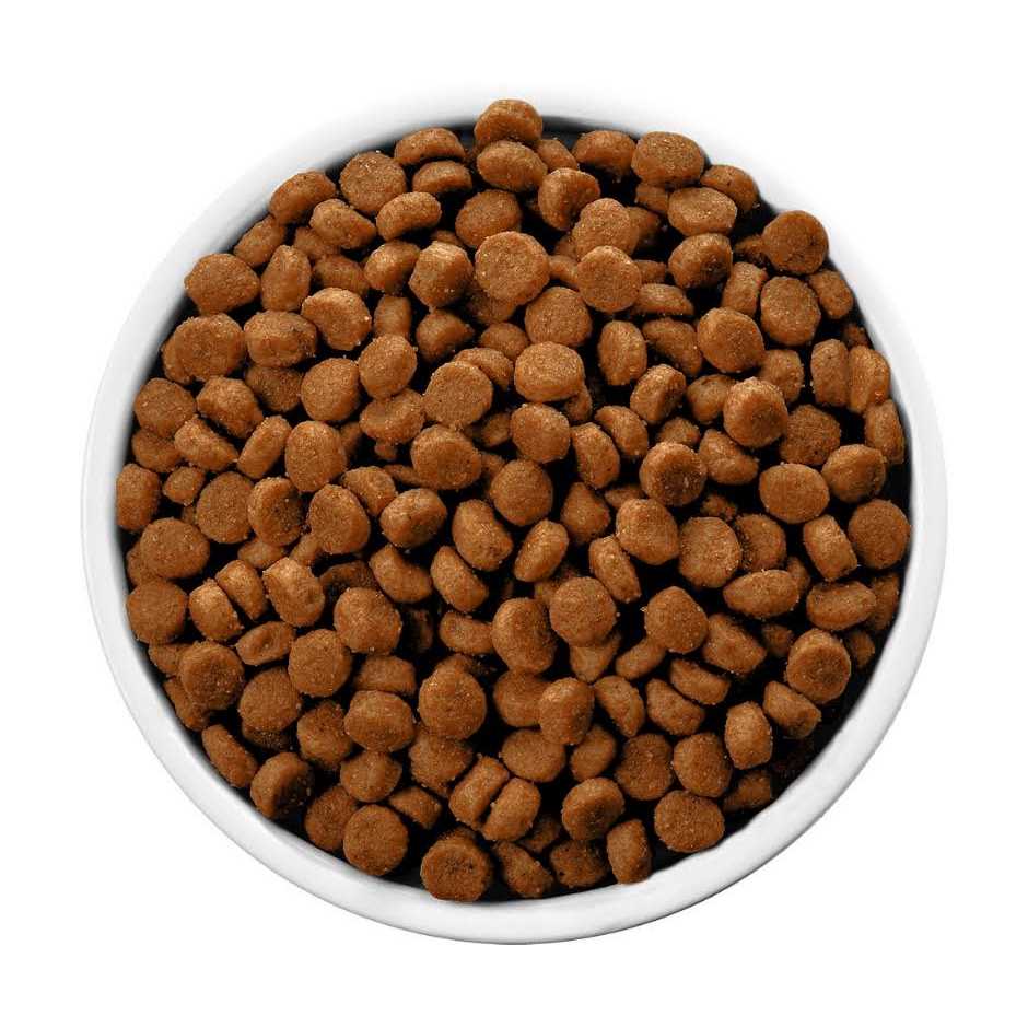 Chicken Flavor Dry Dog Food O7504