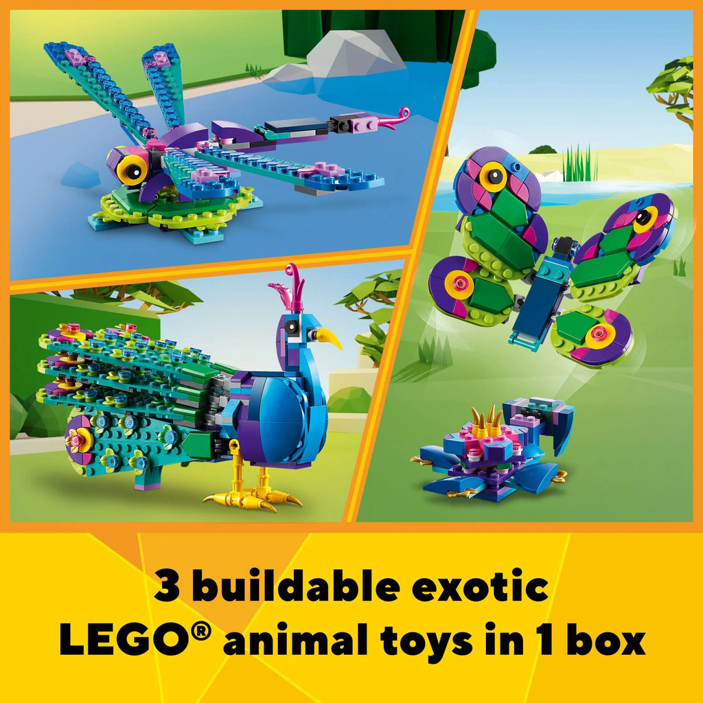Peacock Toy 3 in 1 E458134