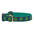 Dog Collar B857