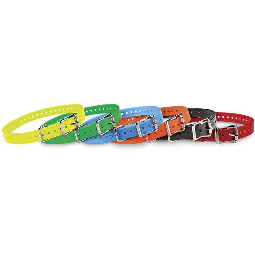 Collar Strap G533128