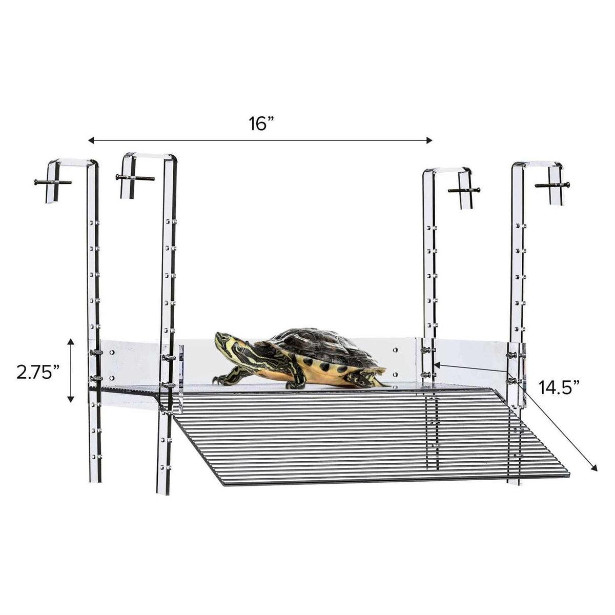 Hanging Turtle Ramp E660132
