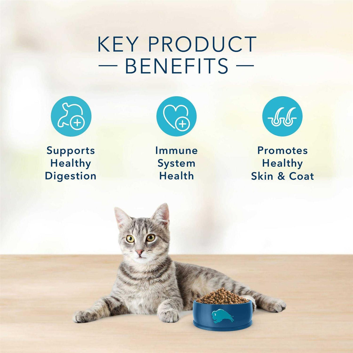 Grain-Free Indoor Dry Cat Food P4167