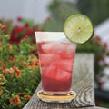 Highball Drinking Glasses Set of 6 P8262