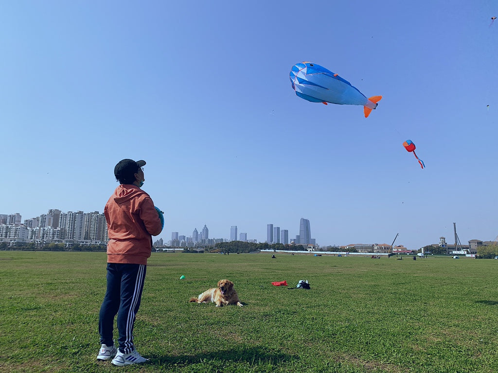 Blue Polyester 78inch Whale Dolphin Kite F8533