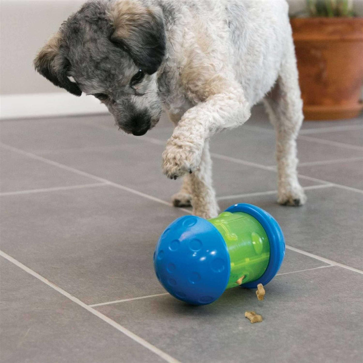 Dog Toy X7756