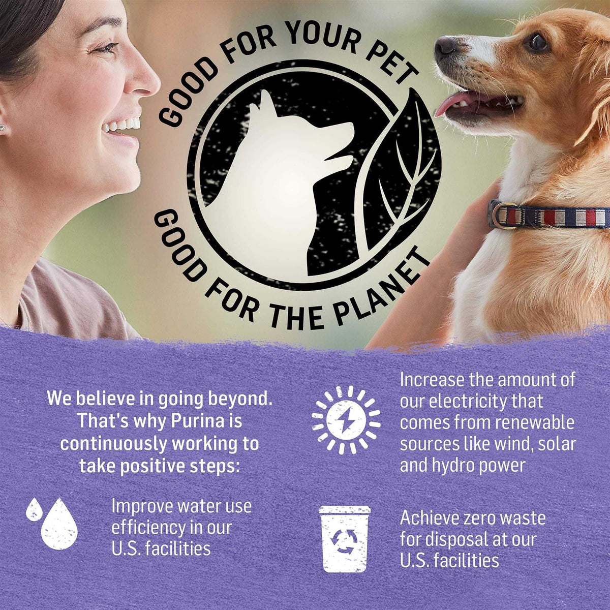 Grain Free Turkey & Sweet Potato Wet Dog Food Q1363