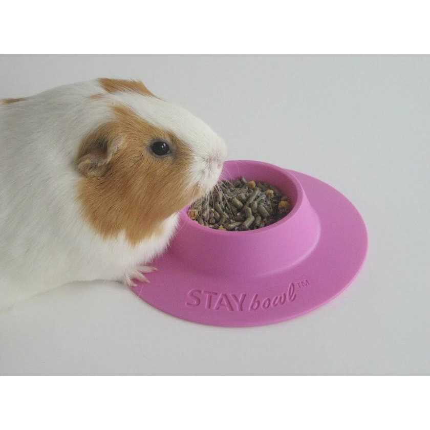 Tip-Proof Bowl for Guinea Pigs and Small Pets R533