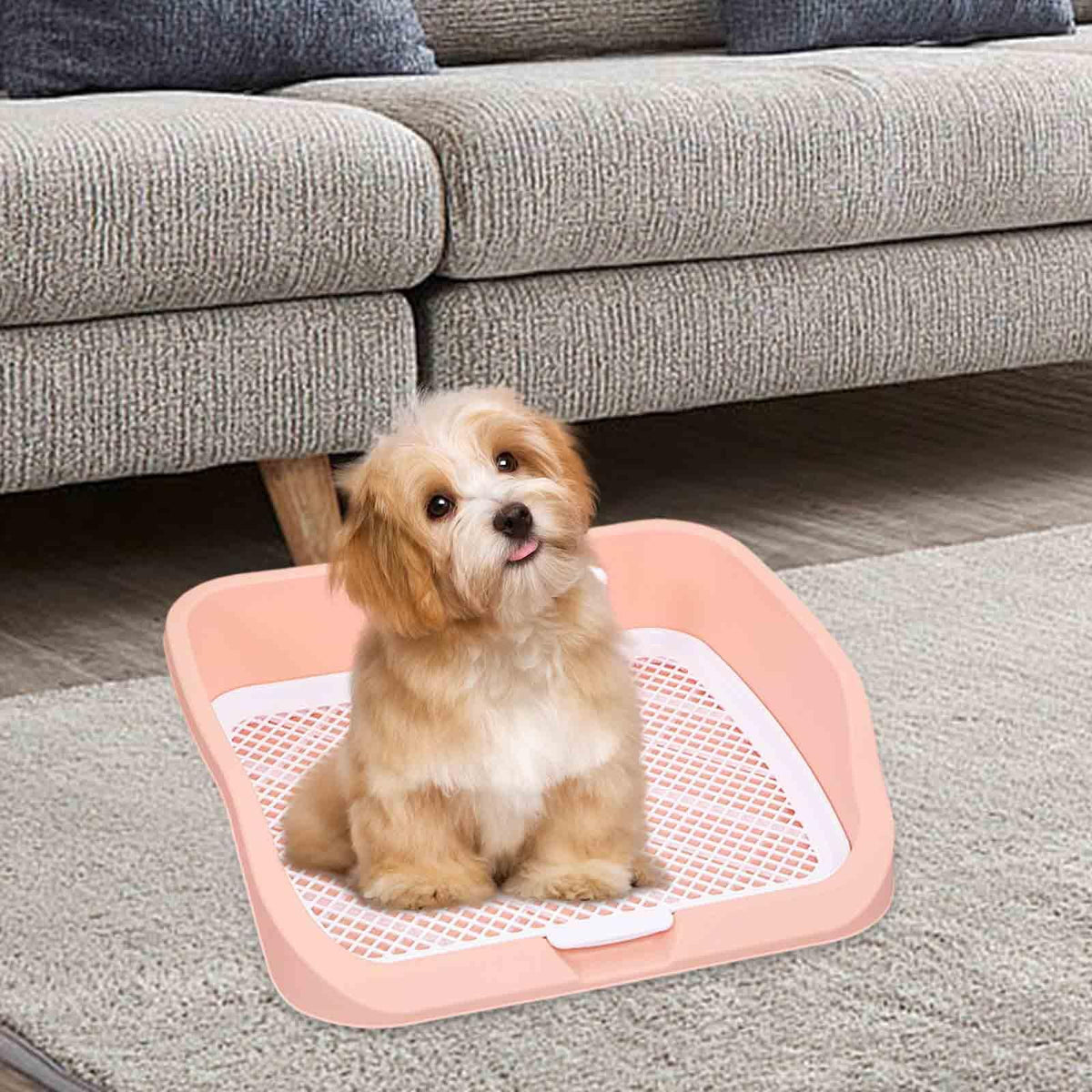 Pet Toilet Training Holder with Protection Dog Potty Pad S7506