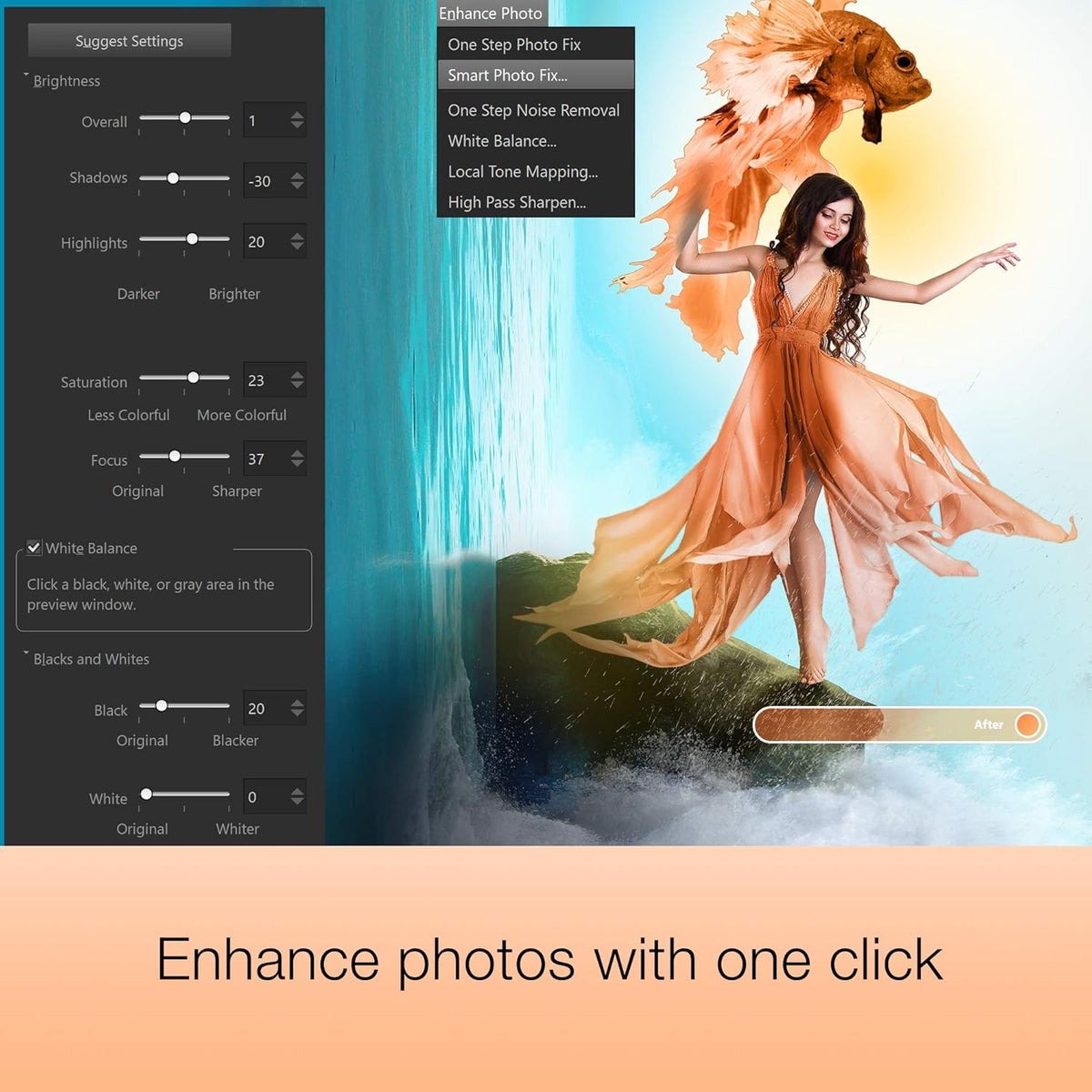 Photo and Video Editing Software M19204
