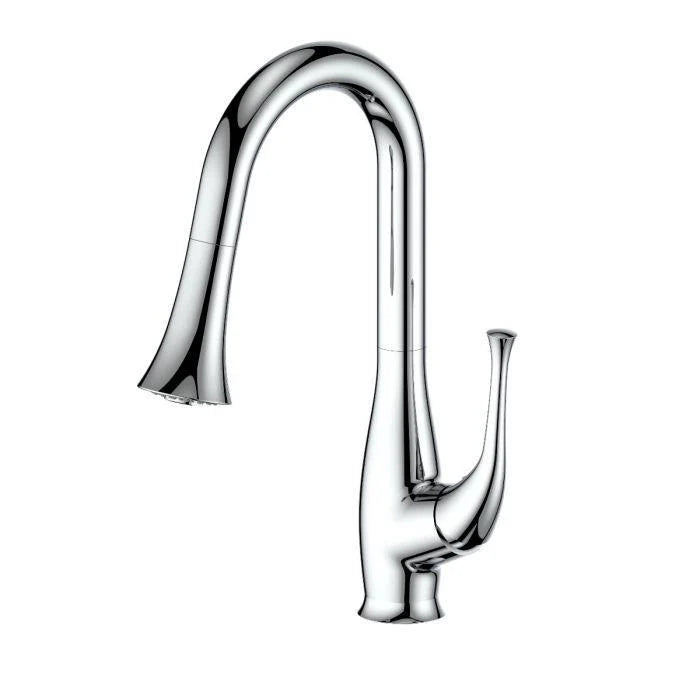 Chrome Kitchen Faucet P924003