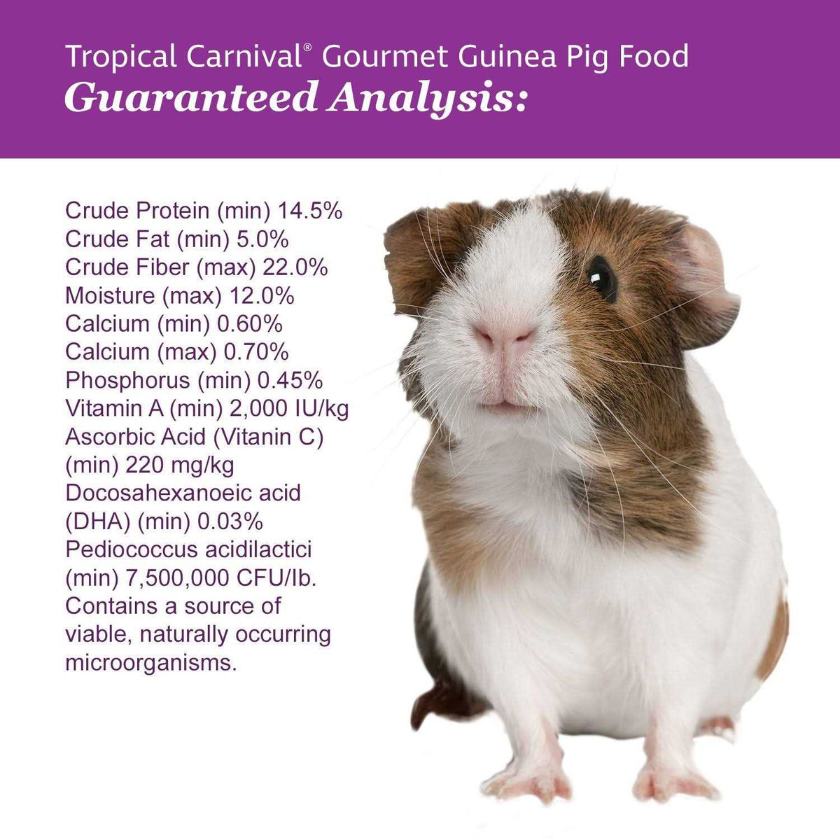 Guinea Pig Food W902664