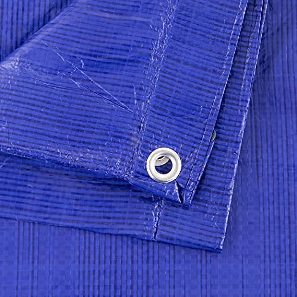 Blue 12-ft x 20-ft Poly Tarp I536434