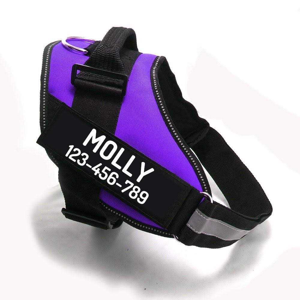 No Pull Dog Harness E719